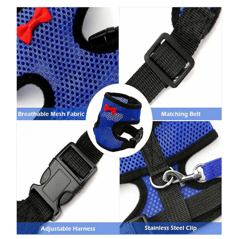 Coloured chicken harness vest with attached collar and long rope for pet poultry walking control
