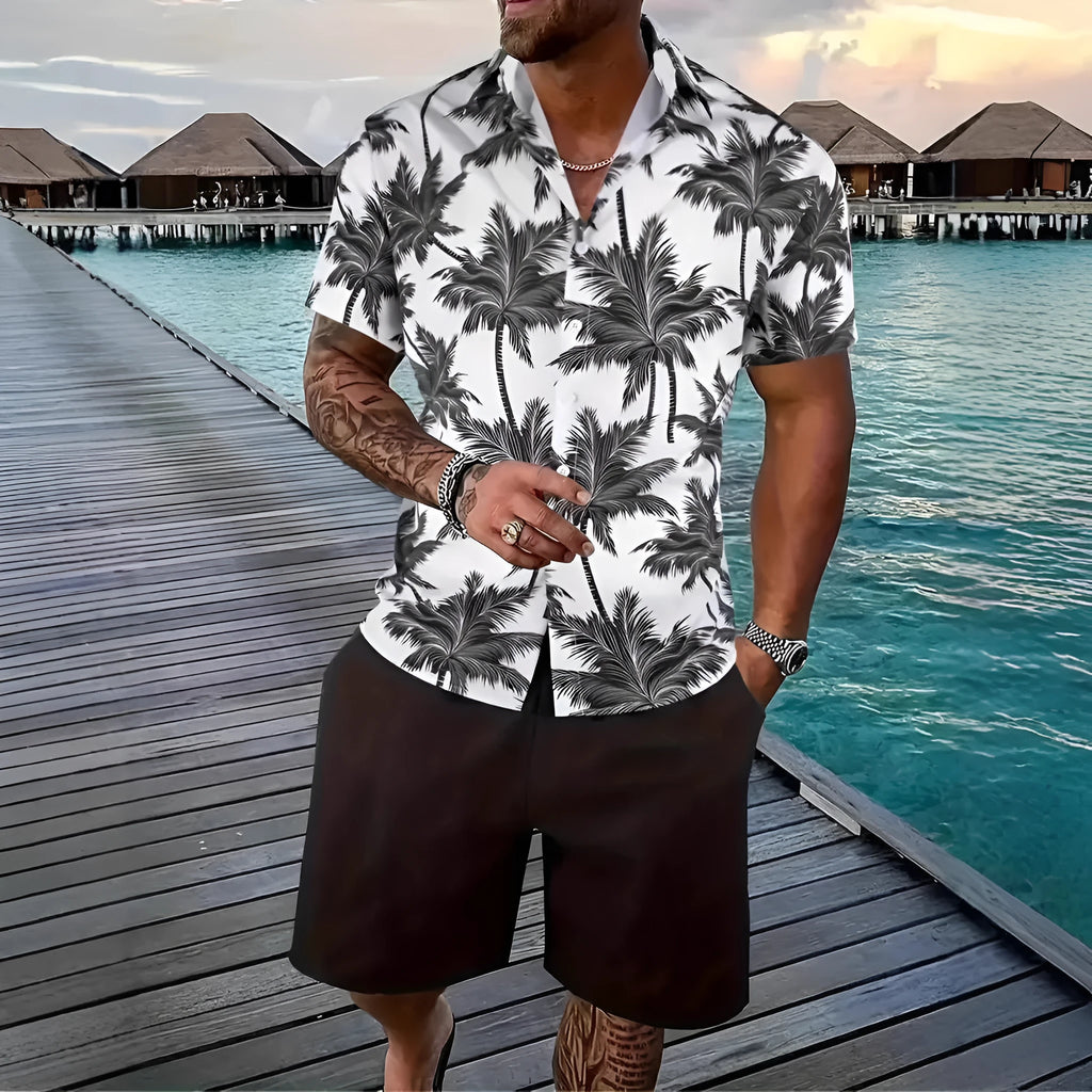 Men's 3D printed Hawaii pattern short sleeve top and matching shorts casual set