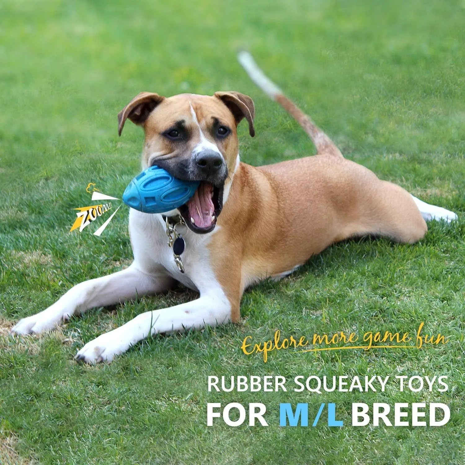 Natural rubber squeaky dog chew ball toy for medium and large breed aggressive chewers in blue, green, orange colours