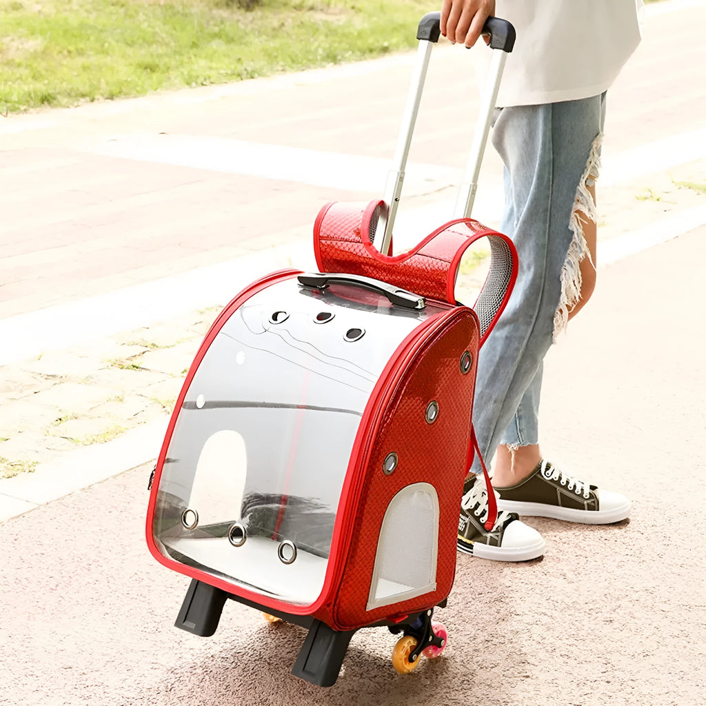 Transparent pet trolley bag with folding shoulder design for small dogs and cats
