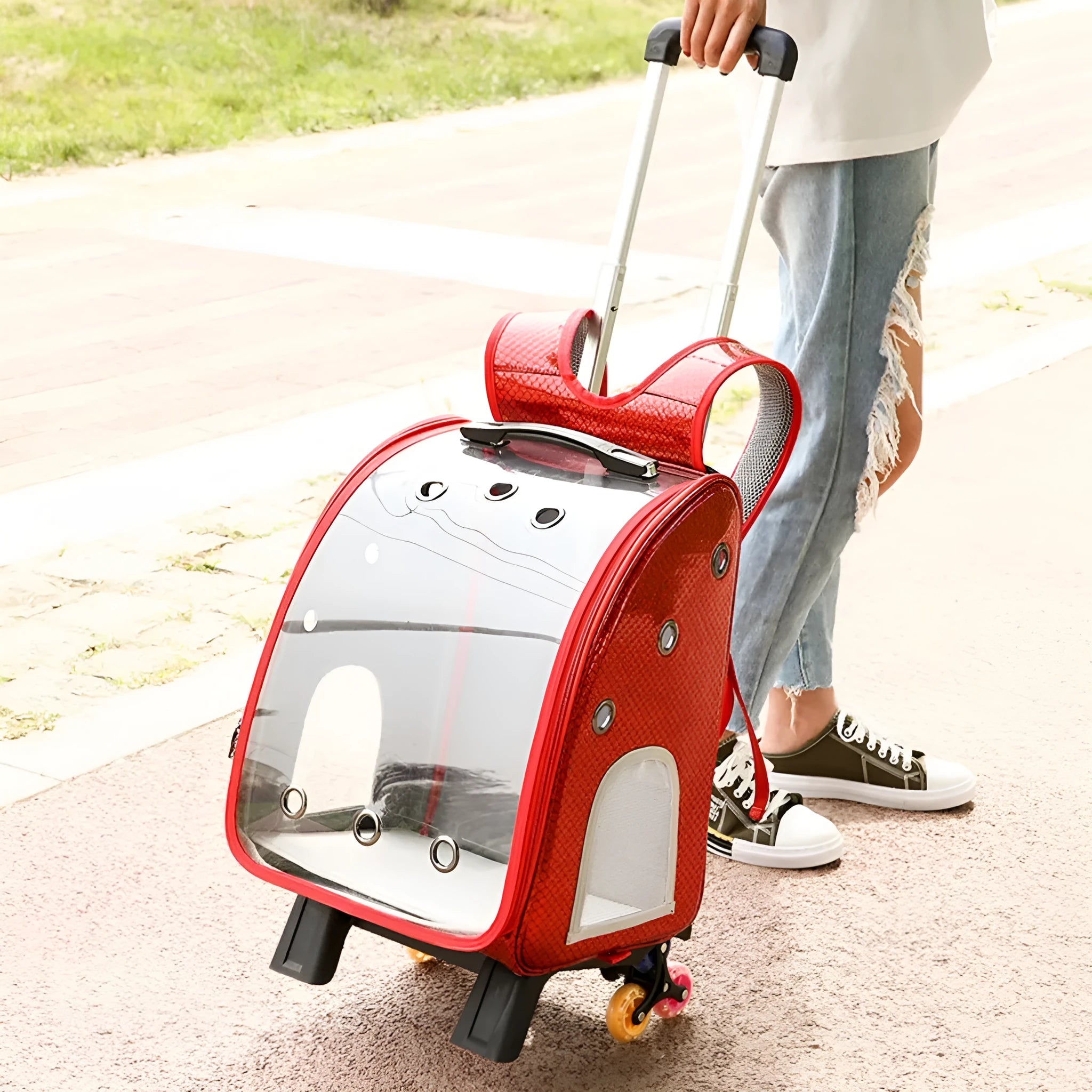 Transparent pet trolley bag with folding shoulder design for small dogs and cats