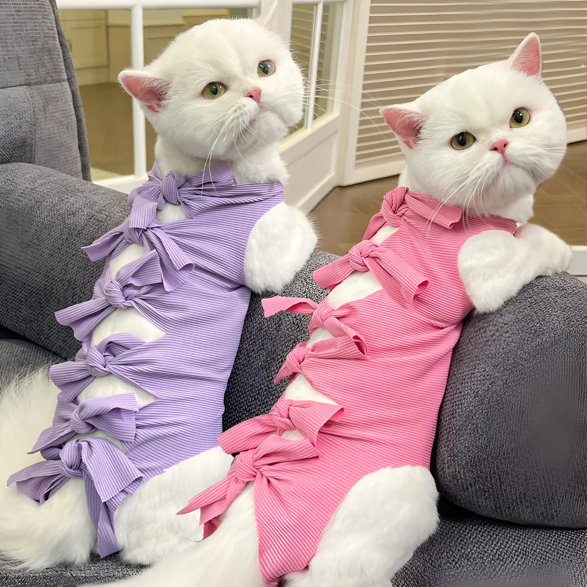 Lace-up cat sterilisation clothing in polyester fabric for post-operation recovery with adjustable closure