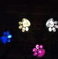 Set of four black animal paw print shaped solar LED garden lights with a central solar panel pole.