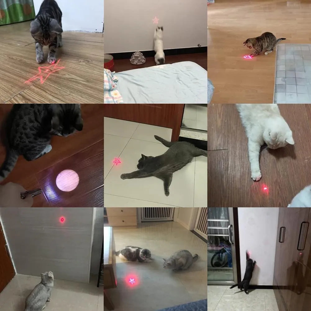 USB rechargeable infrared cat teaser with keychain in black or pink colours