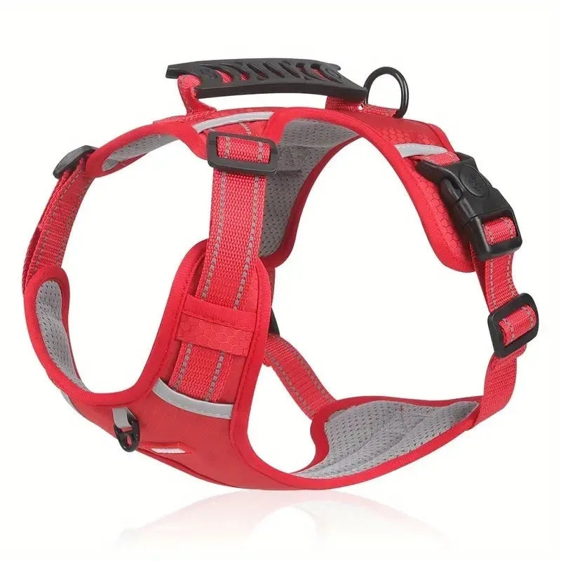 Multi-colour polyester dog chest harness with attached lead in sizes for small to large breeds.