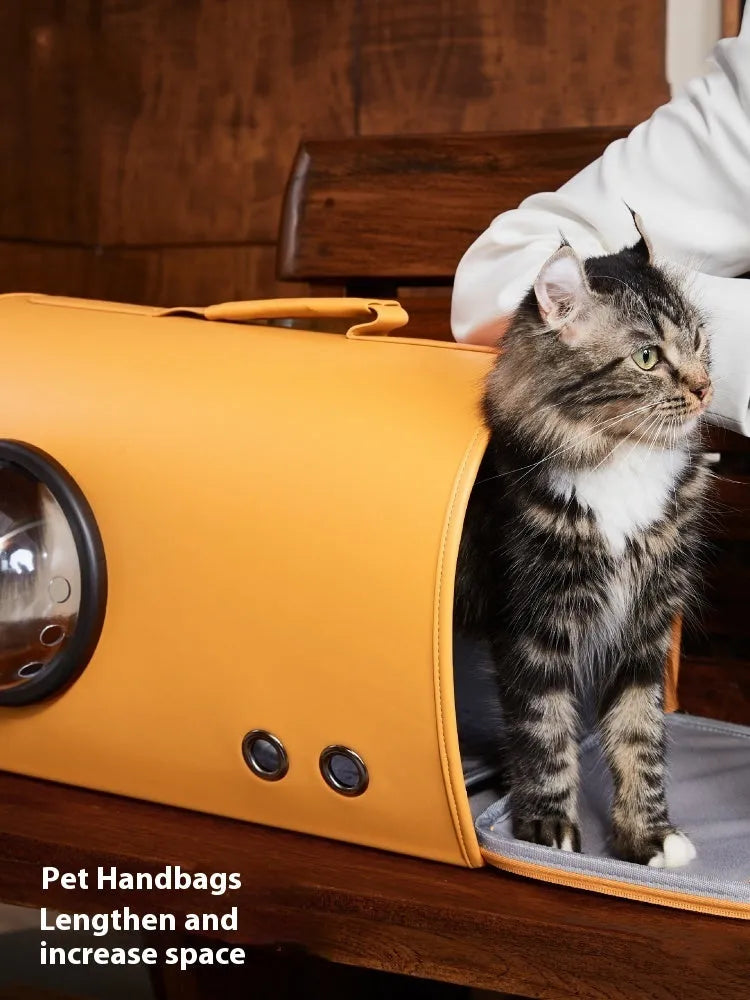 Portable synthetic pet carrier bag for cats and small dogs with shoulder strap