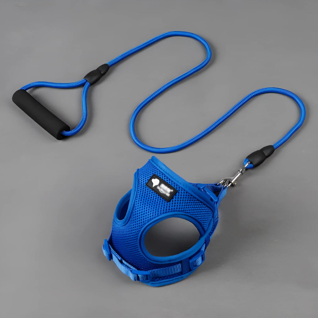 Small dog leash with foam handle in blue colour showing adjustable bust and round rope design