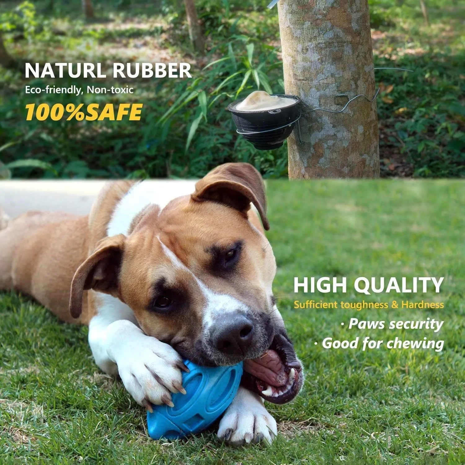 Natural rubber squeaky dog chew ball toy for medium and large breed aggressive chewers in blue, green, orange colours