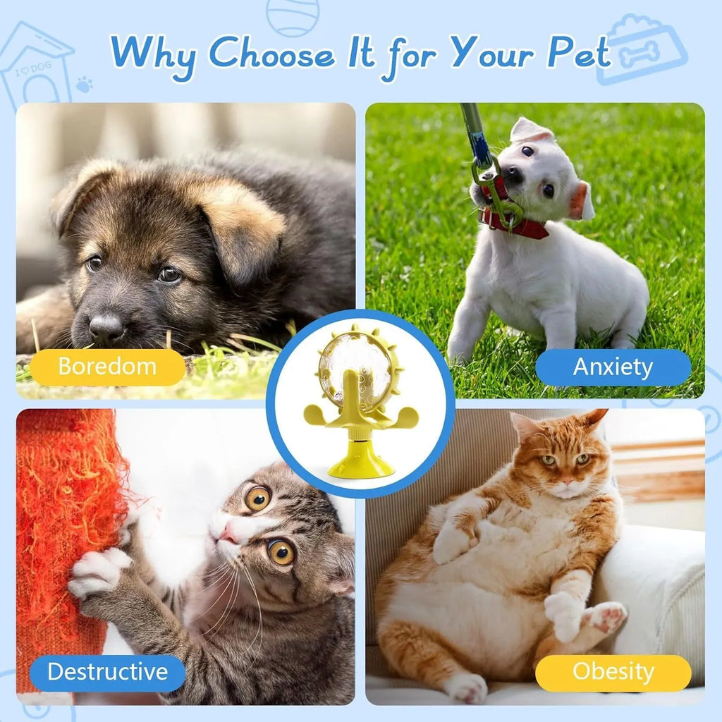 Blue interactive pet puzzle toy slow feeder with sucker base on a floor
