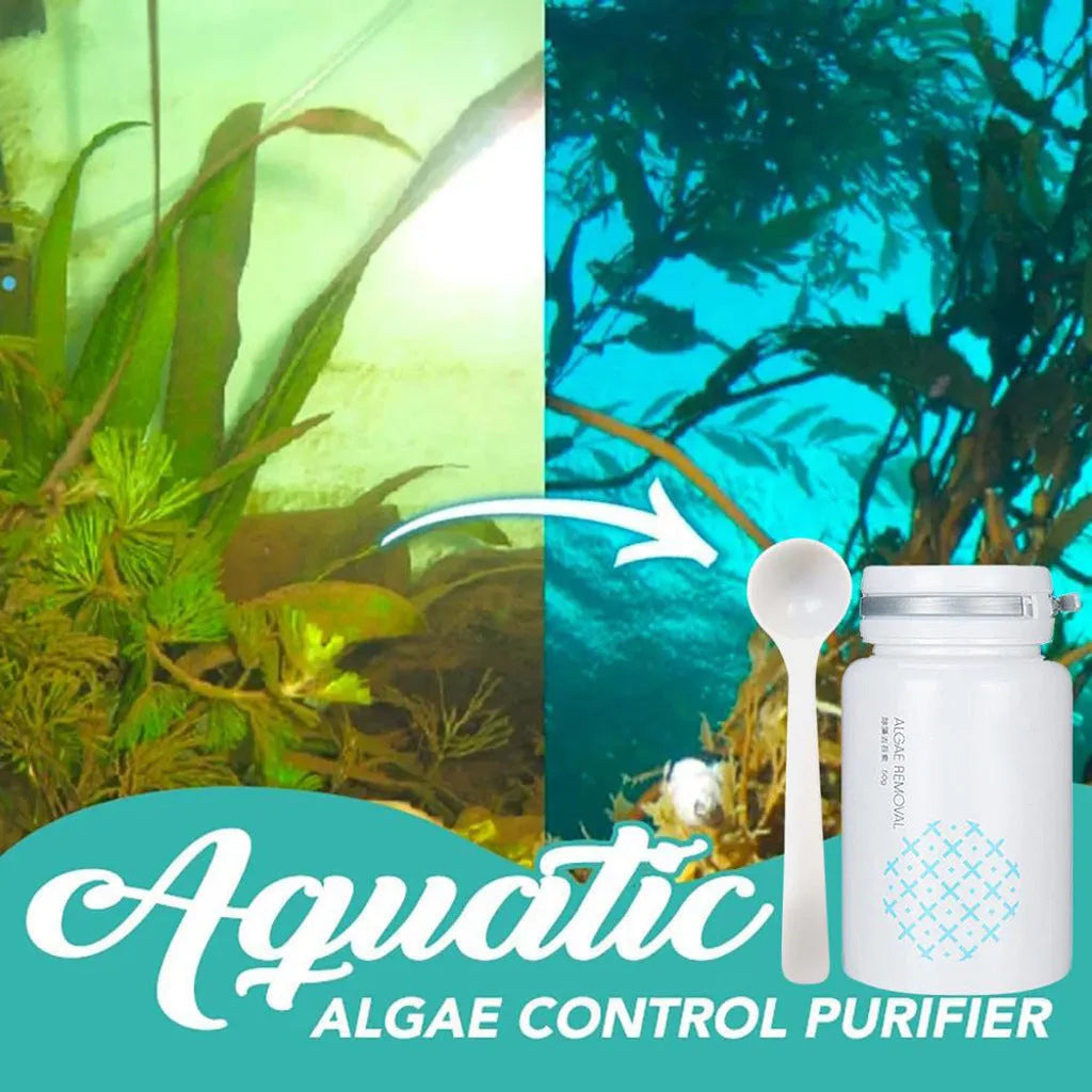 50g swimming pool algaecide treatment for algae and moss removal in pools and aquariums