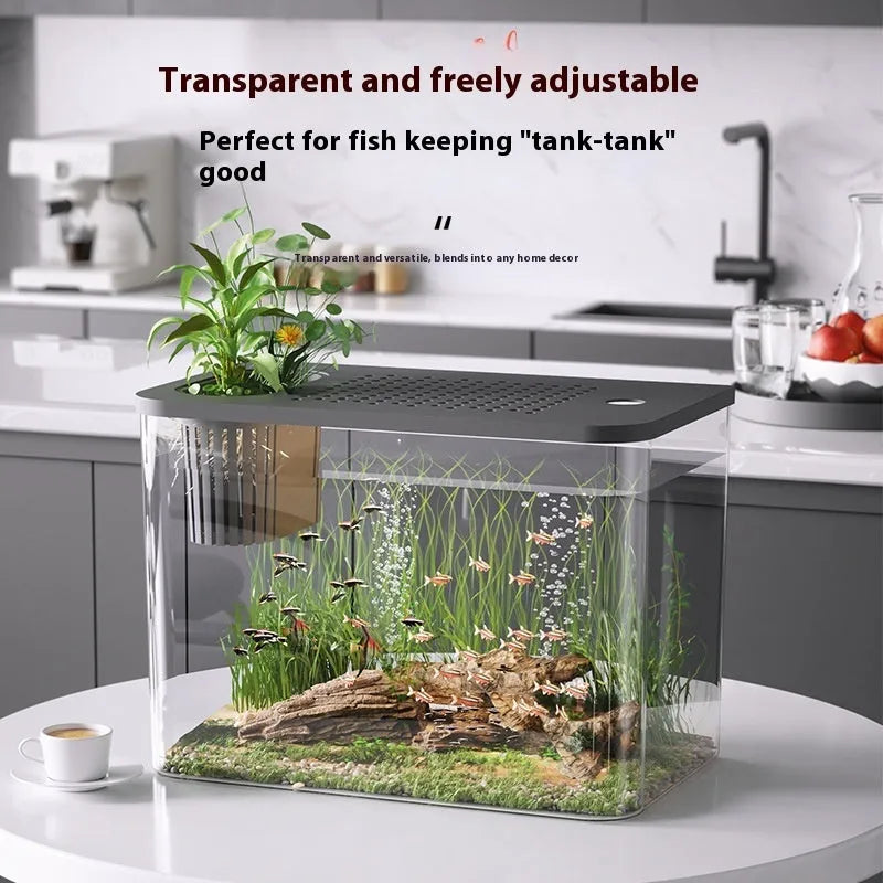 Medium plastic betta fish tank with cover in black or white, dimensions 32x18.5x23cm
