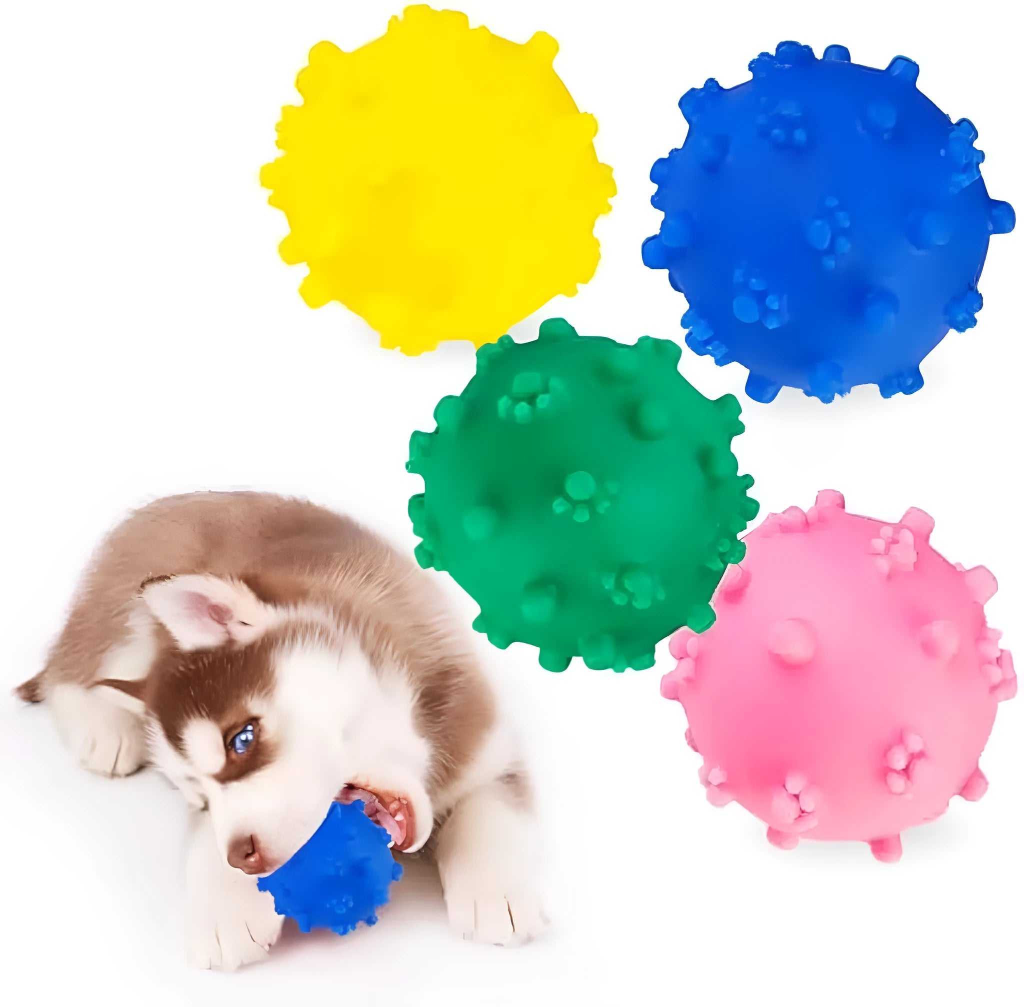 Bright coloured squeaky dog ball with paw print texture for small breed puppies