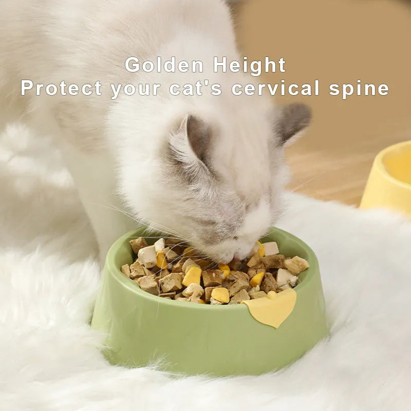 Green plastic pet double bowl with food and water compartments showing anti-tipping design