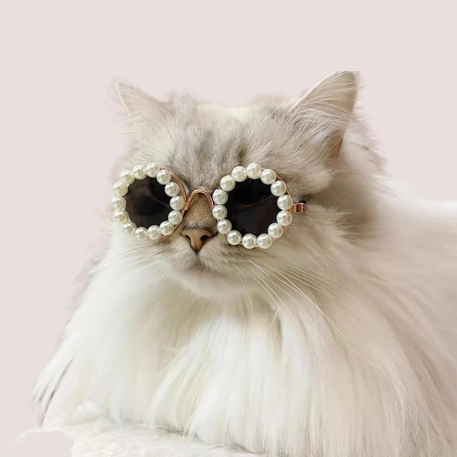 Pearl-rimmed round sunglasses for a cat or dog, shown in blue, with size options of 11cm and 8cm.