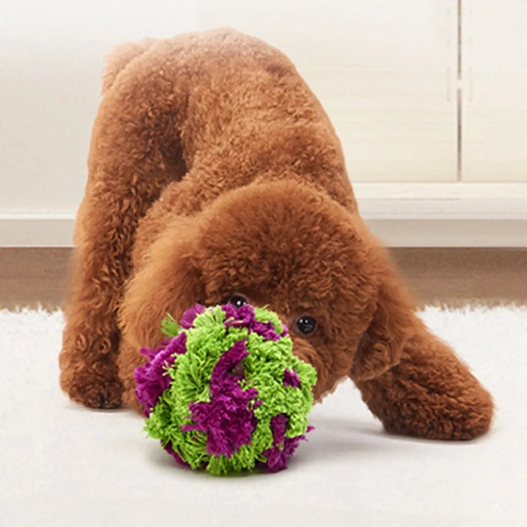 Purple plush seaweed ball dog chew toy for teething and interactive play