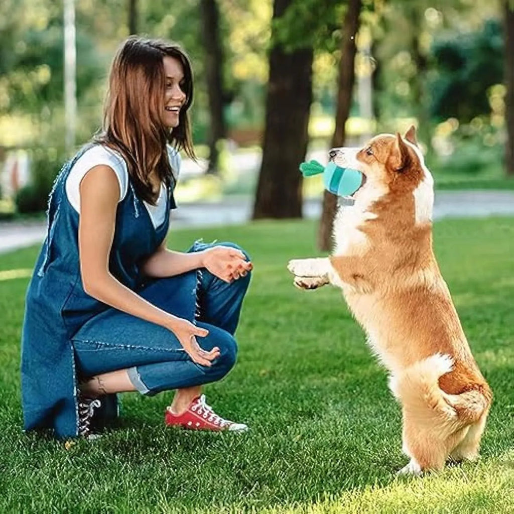 Blue interactive treat dispensing dog puzzle ball toy for medium large breeds