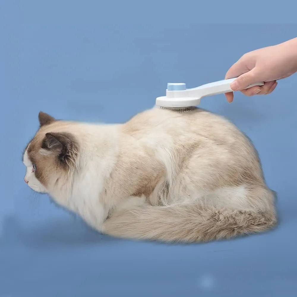 Blue self-cleaning cat grooming brush with rubber handle and metal pins, shown removing fur.