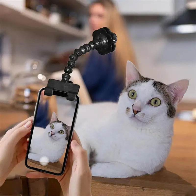 Black pet photography tool with a clip for holding treats and a phone holder on a rotating support