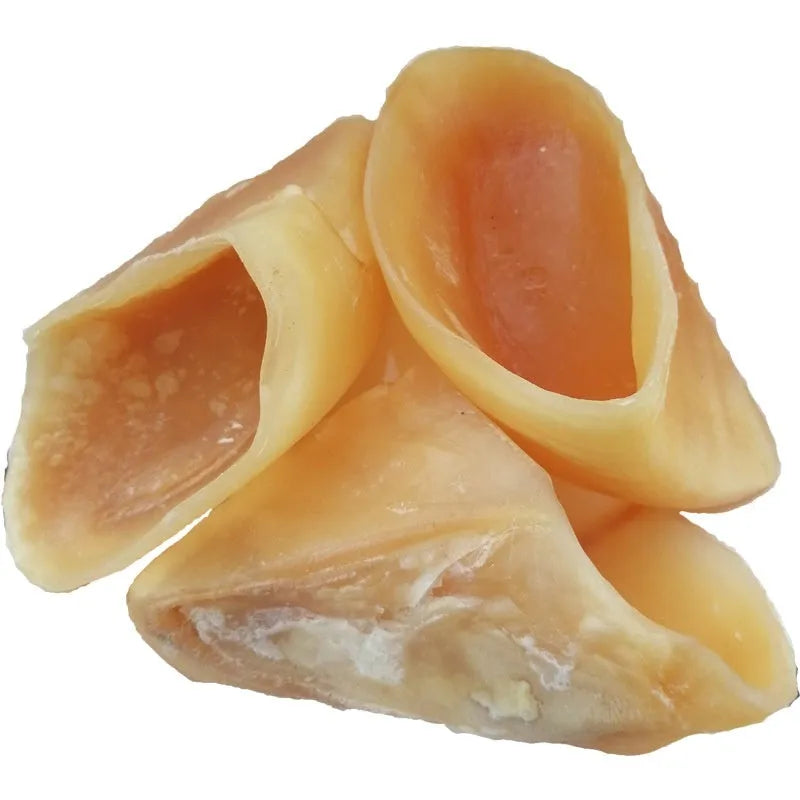 Cowhide dog dental chew in hoof shell colour, showing textured surface and two size options