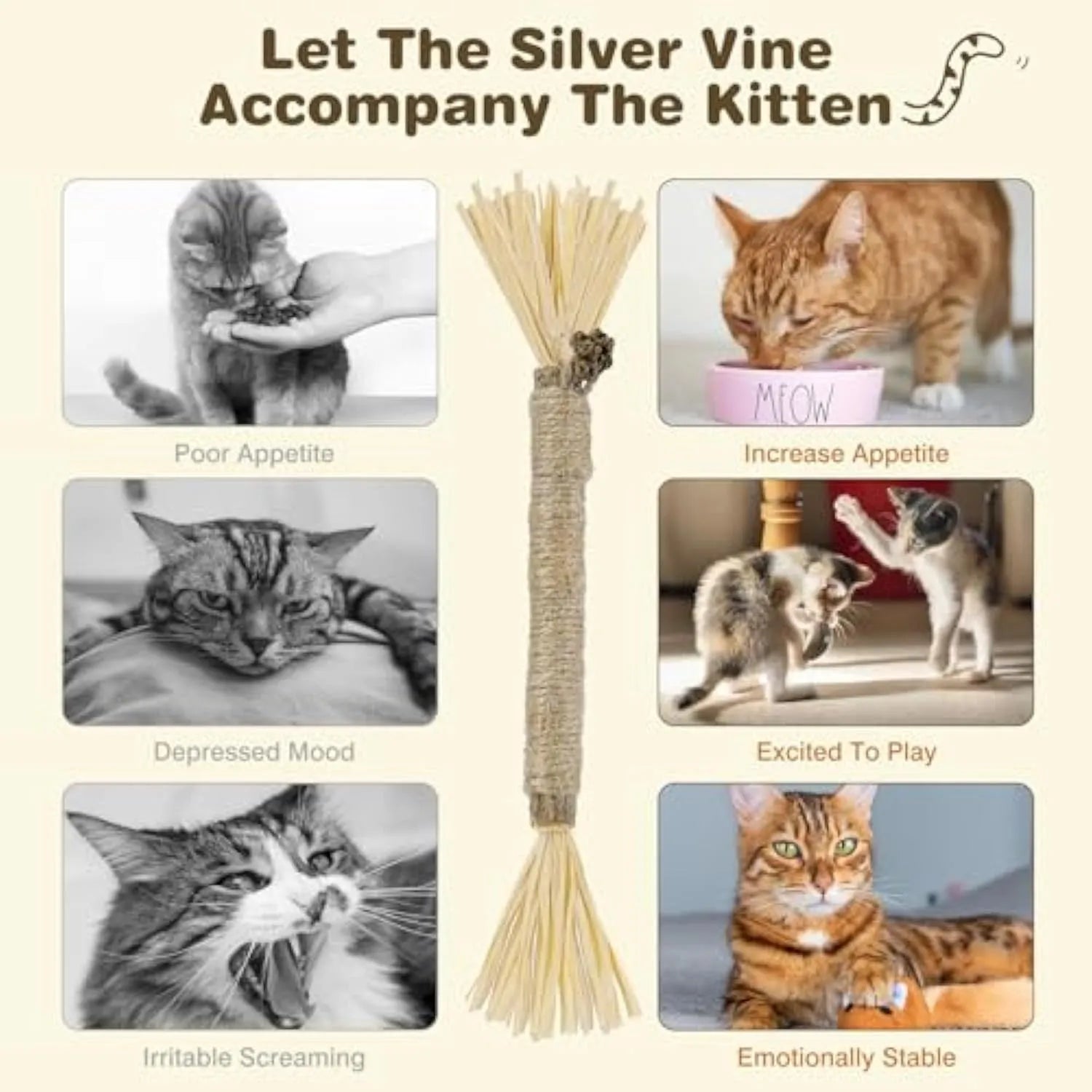 Three natural silvervine sticks for cats dental chew toys showing thick and fine diameter options