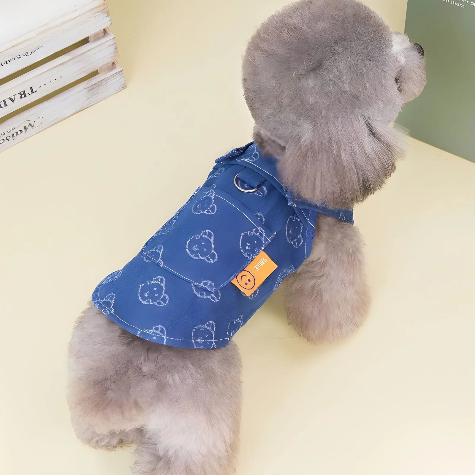 Small dog wearing a light blue denim princess dress with a bracket skirt, suitable for spring or autumn.