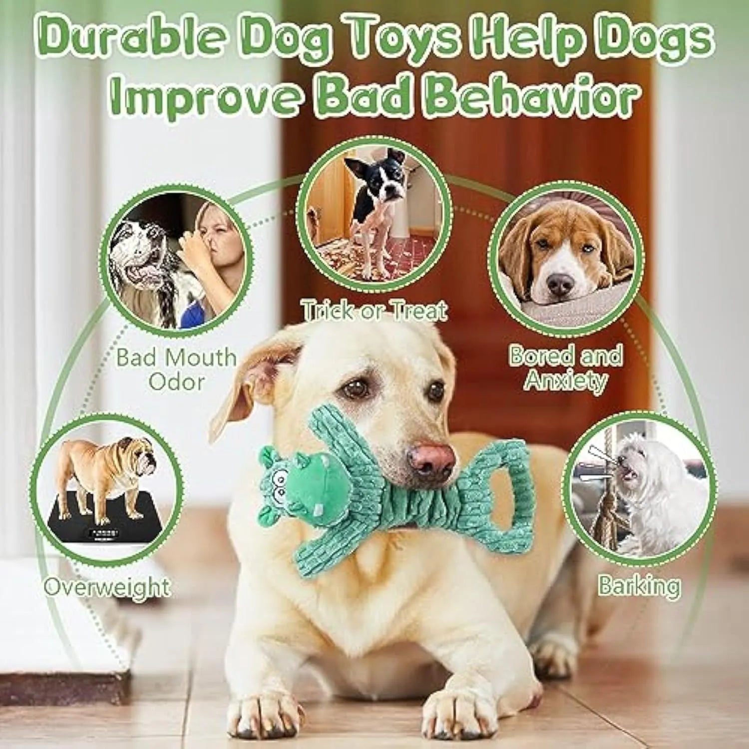 Plush squeaky dog toy with crinkle paper and a handle for tug-of-war play.
