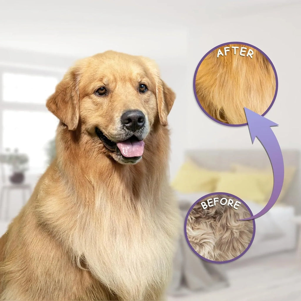 Purple pet detangling comb with stainless steel teeth for grooming cats and dogs