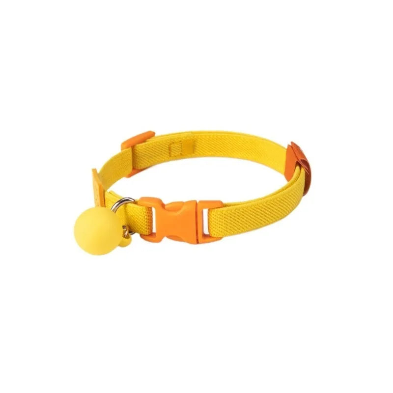 Small dog wearing a solid colour polyester elastic pet collar, adjustable from 22 to 32cm.