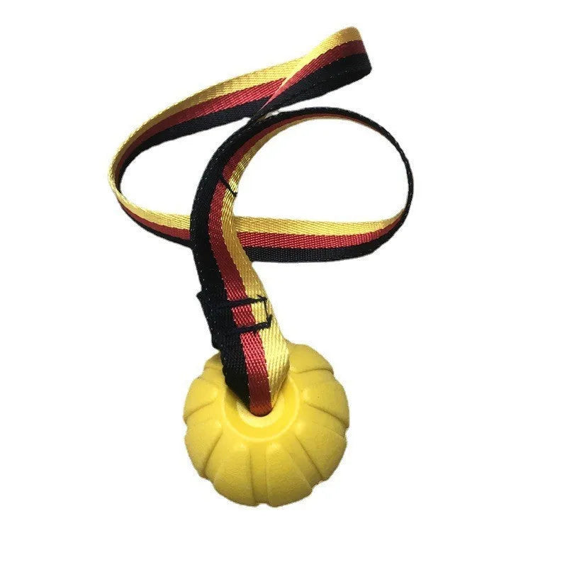 EVA floating dog training ball in camouflage and yellow colours showing three different diameter sizes