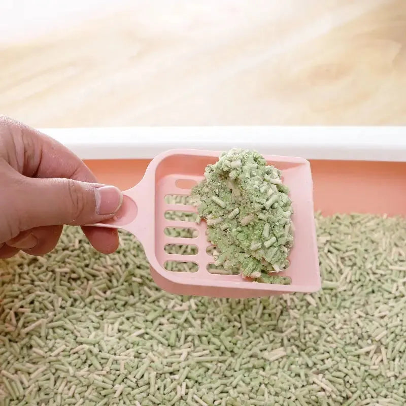 Plastic cat litter scoop in blue, green or pink measuring 20cm long for pet toilet cleaning