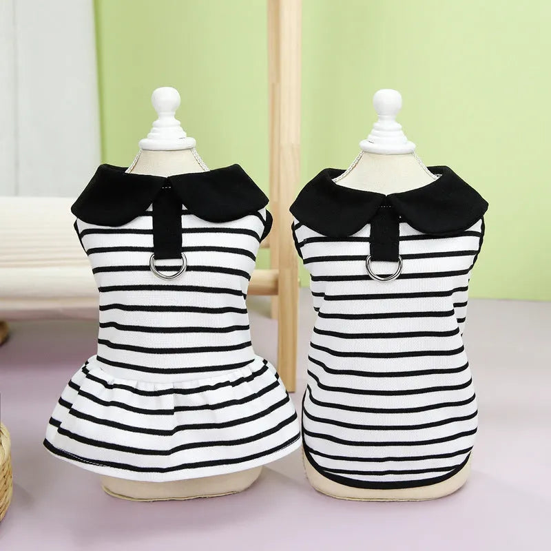 Striped pet summer clothing bundle with T-shirt and skirt in cotton material