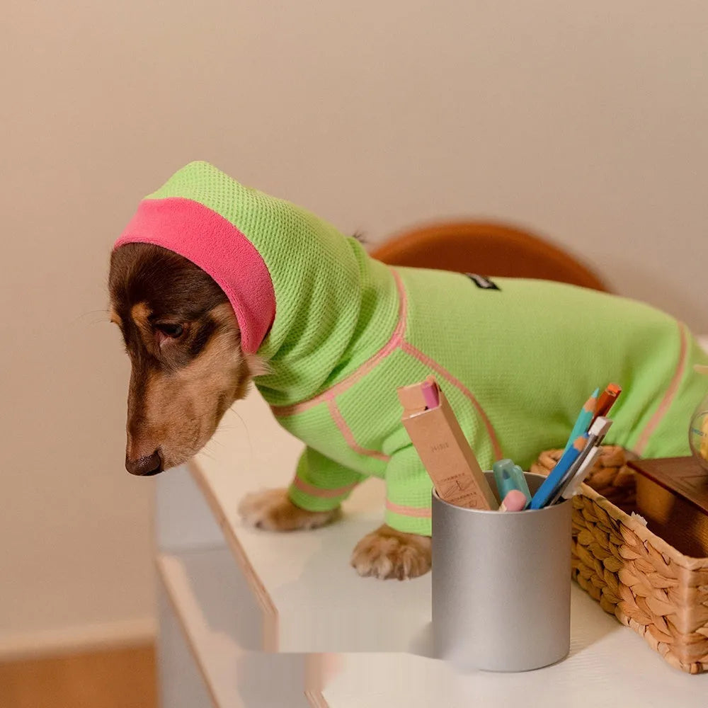 Waffle dachshund pullover in green, four-legged casual dog sweater on white background