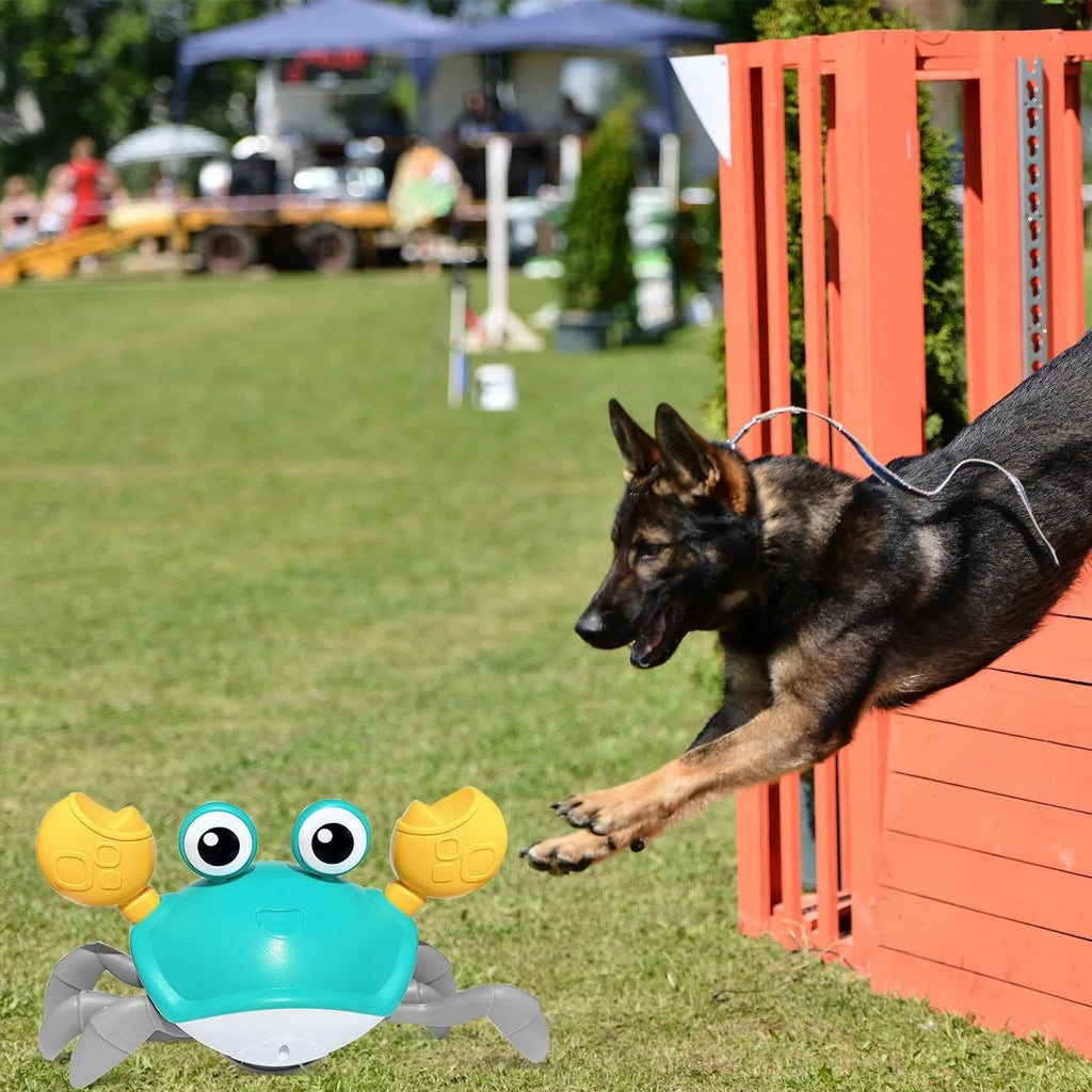 Blue electronic crawling crab dog toy with obstacle avoidance sensors on floor
