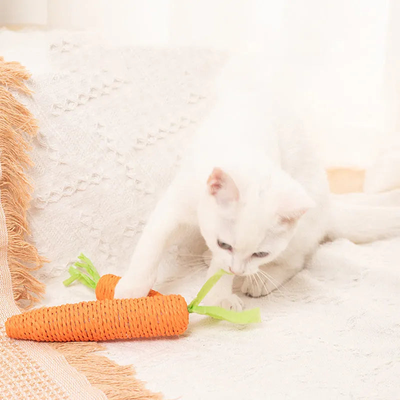 Assortment of interactive cat toys including carrot bites, paper toys, ringing stones, sticks, and grinding toys