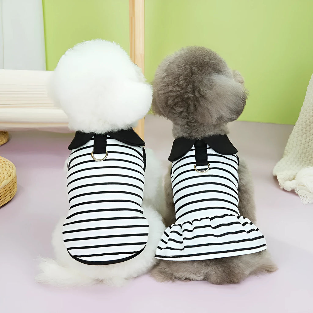 Striped pet summer clothing bundle with T-shirt and skirt in cotton material