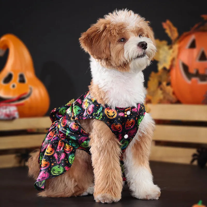 Dog wearing an angel wings Halloween costume in bright pumpkin orange colour.