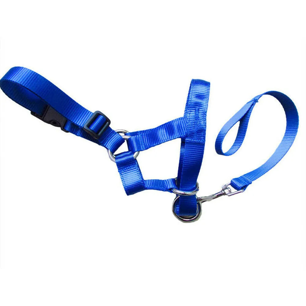 Nylon dog muzzle in black, blue, and red, with five sizes from S to XXL
