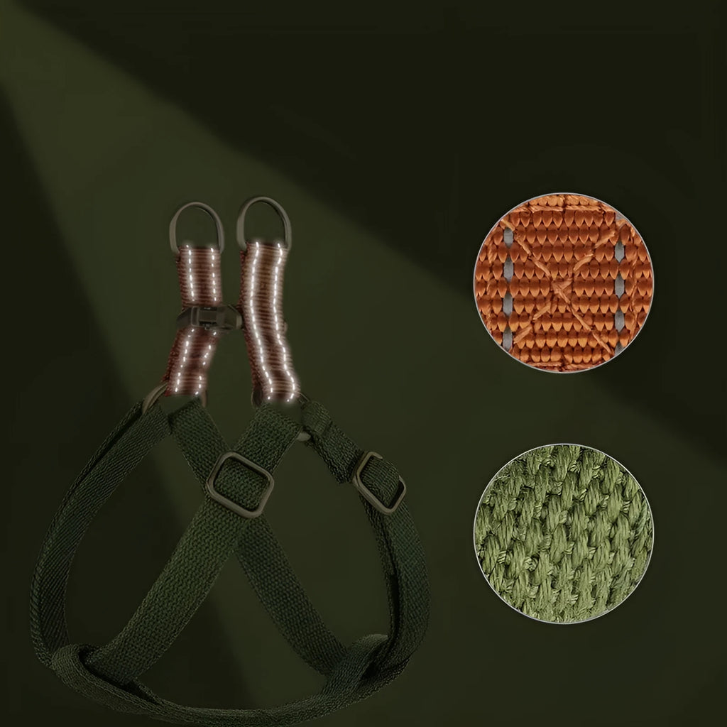 Brown vest-style dog harness and leash with alloy clips on a small dog