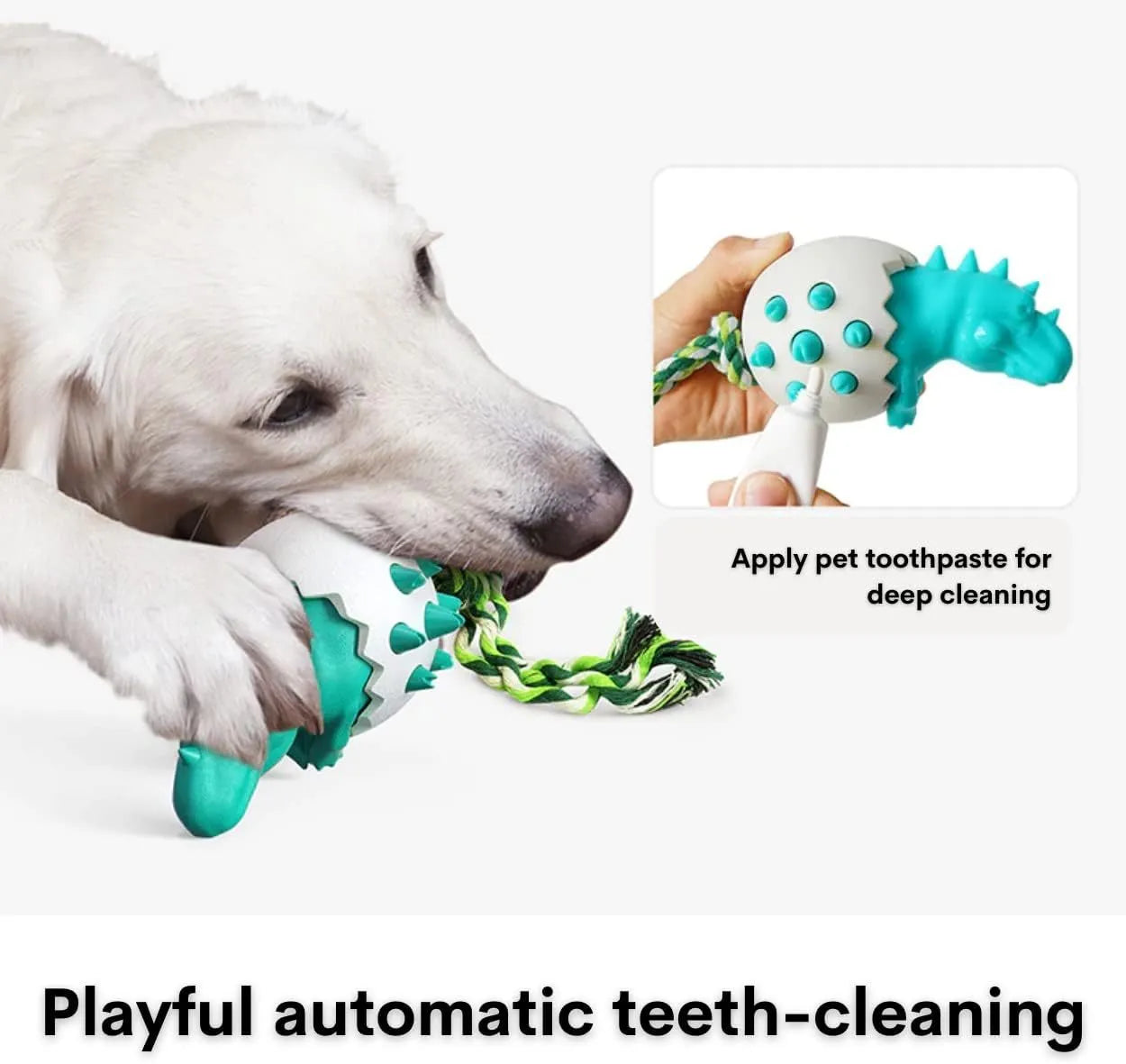 Blue dinosaur-shaped dog chew toy with textured surface and an attached rope for tug-of-war.