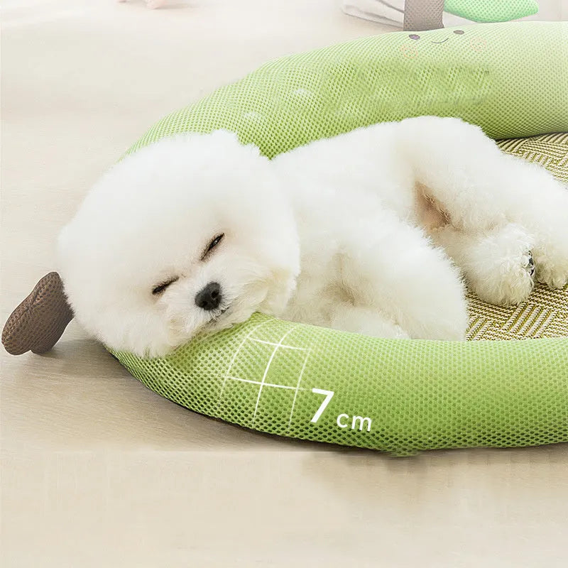 Green fruit backrest pet bed nest for cats and dogs with raised sleeping area