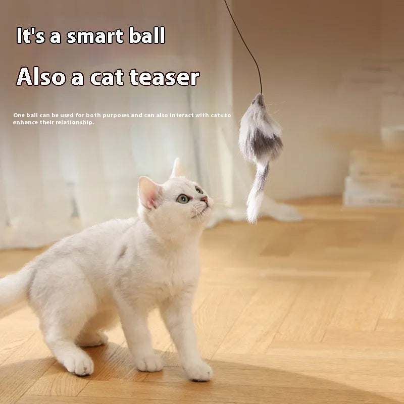 Automatic cat teasing ball toy with attached grey plush mouse on a blue and orange plastic ball