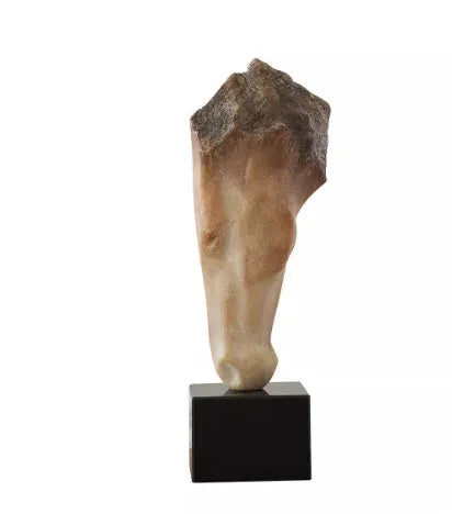 French retro style abstract horse head sculpture ornament with carved texture, 50cm tall.