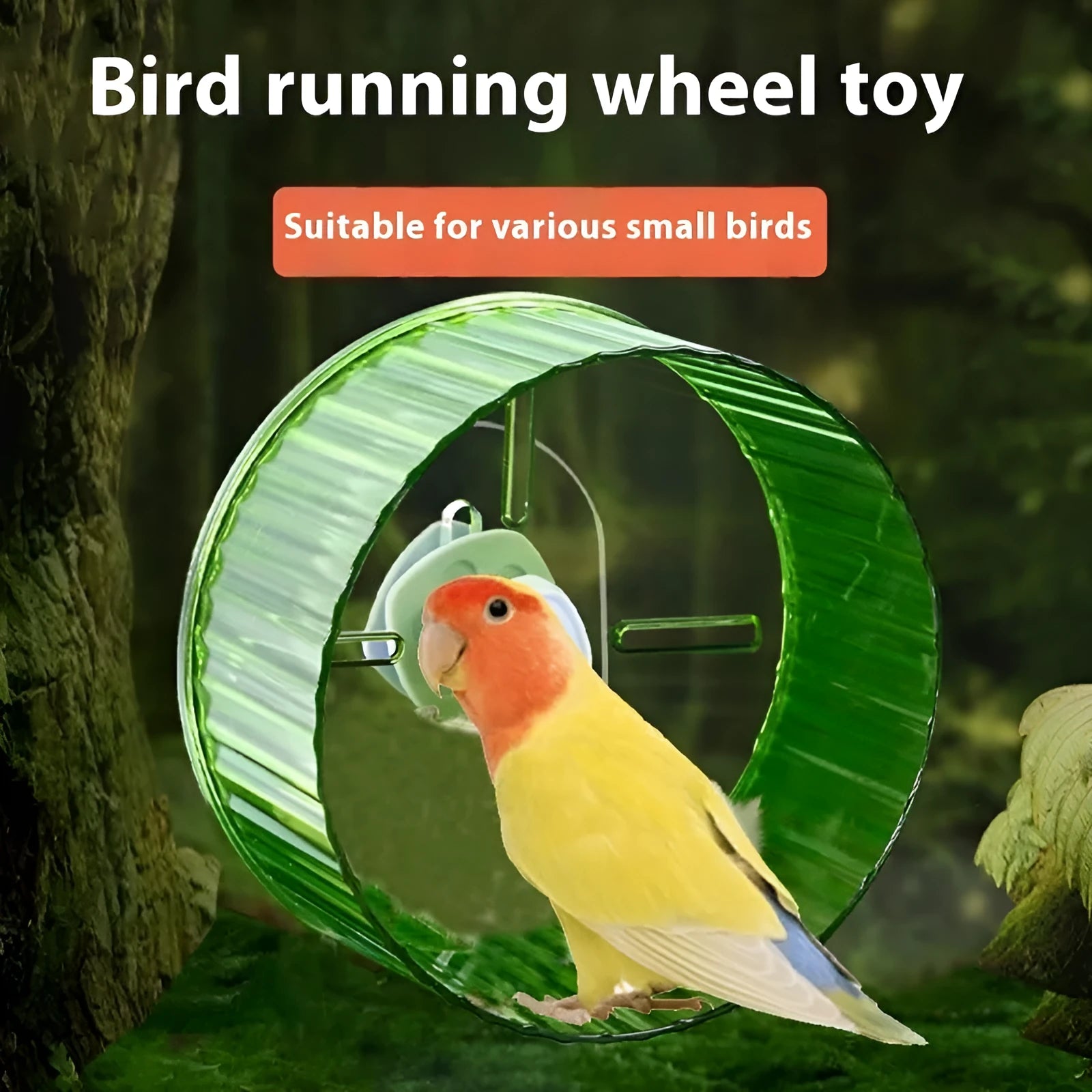 Parrot wheel running toy in plastic construction with treadmill design for bird exercise