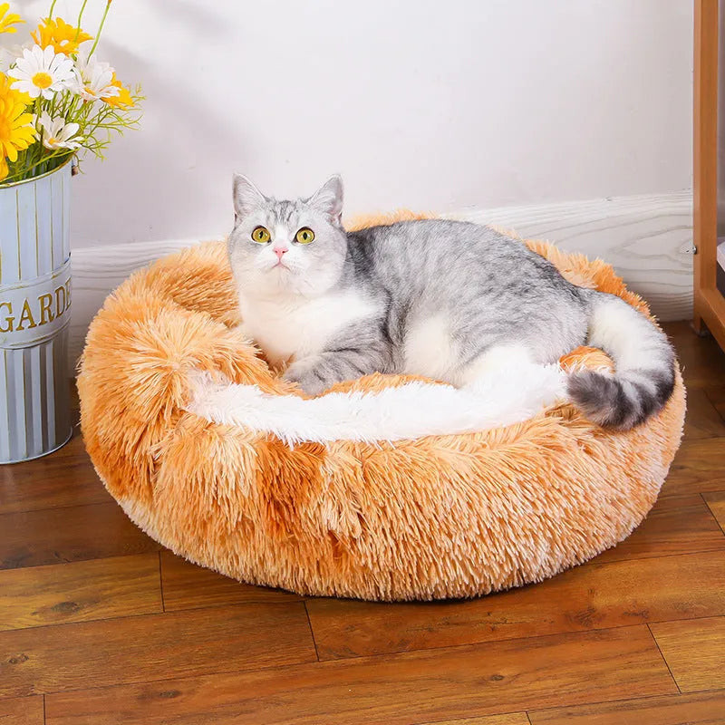 Waterproof semi-surrounded indoor dog kennel in a gradient colour, shown in a 50cm size.