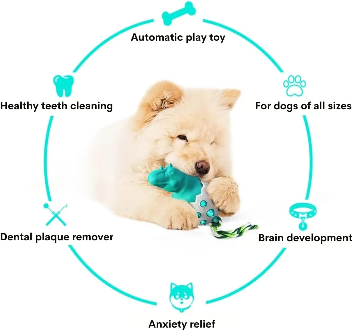 Blue dinosaur-shaped dog chew toy with textured surface and an attached rope for tug-of-war.