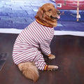 Blue cotton long sleeve bottoming shirt for medium and large dogs on a model
