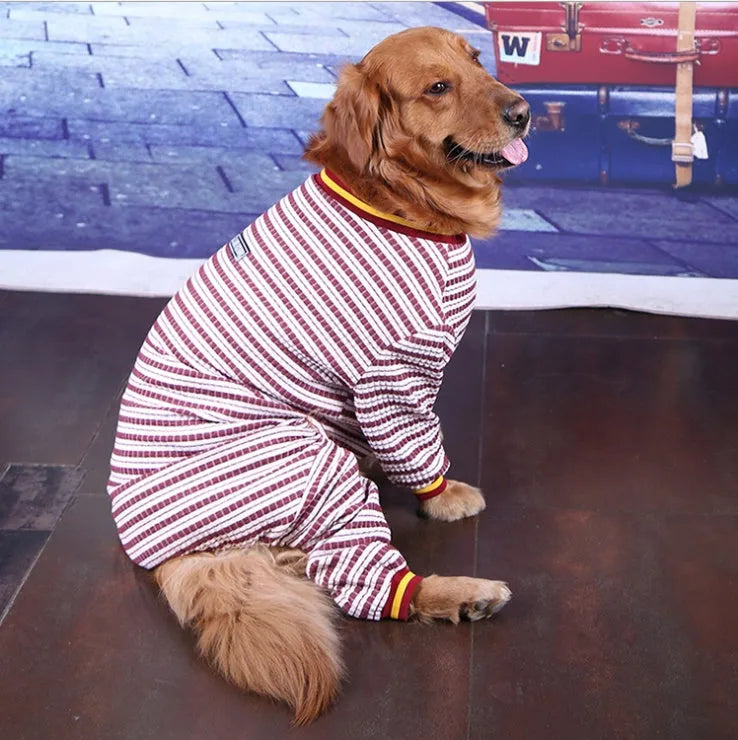 Blue cotton long sleeve bottoming shirt for medium and large dogs on a model