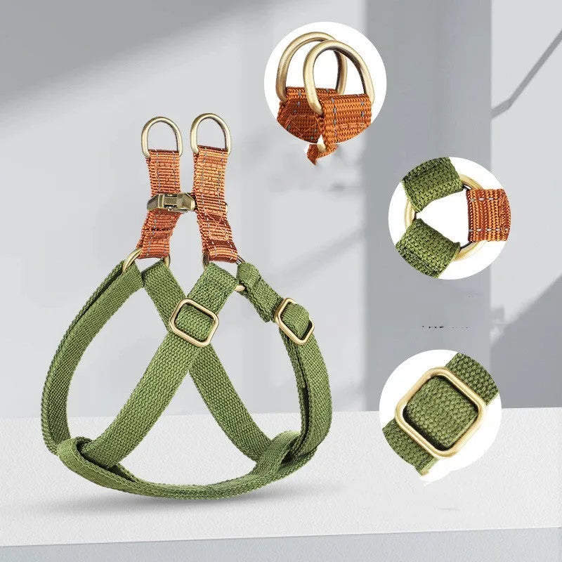 Brown vest-style dog harness and leash with alloy clips on a small dog
