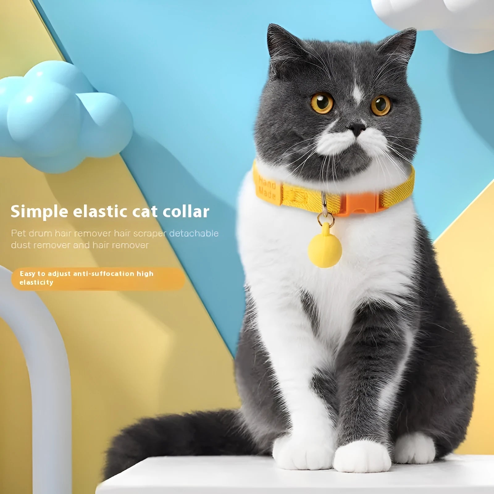 Small dog wearing a solid colour polyester elastic pet collar, adjustable from 22 to 32cm.