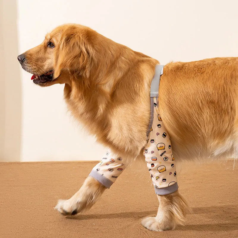 Blue dog knee protector pad with adjustable straps and matching scarf on medium dog